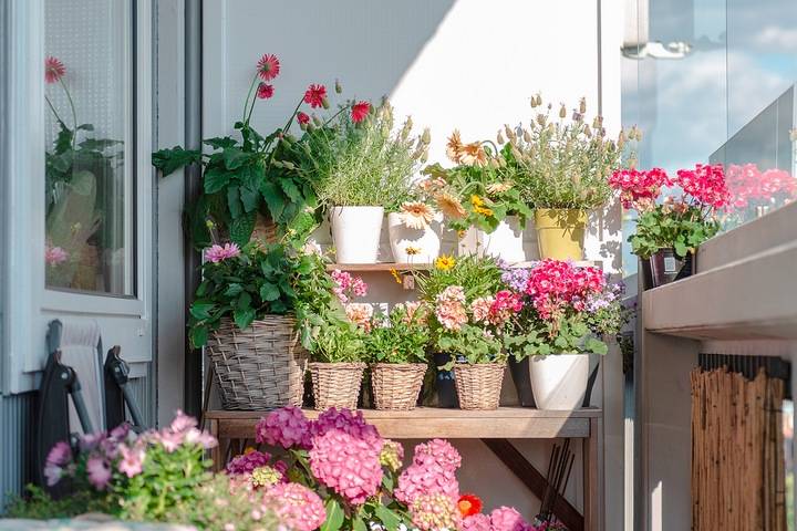 A garden is a good balcony makeover idea on a small budget.