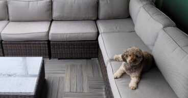 Pet-Friendly Deck Tiles