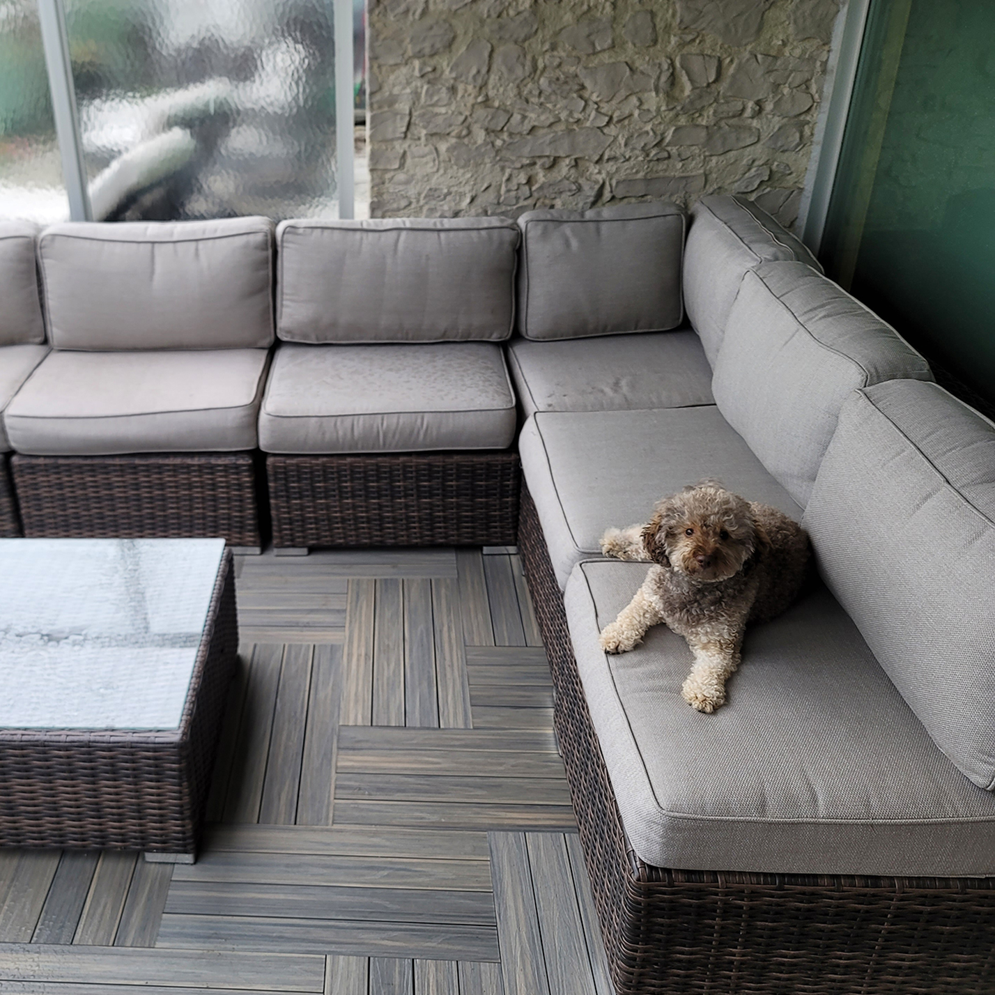 Pet-Friendly Balcony Using Durable Deck Tiles | Designer Deck