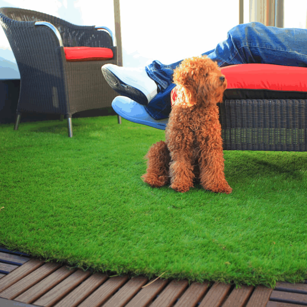 Pet-Friendly Deck Tiles