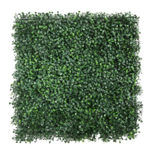 Boxwood Dark
