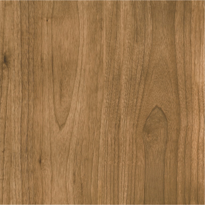 Birch Timber