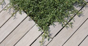 Recycled Plastic Board Tiles for Classic Outdoor Decking