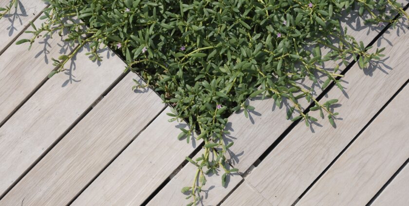 Recycled Plastic Board Tiles for Classic Outdoor Decking